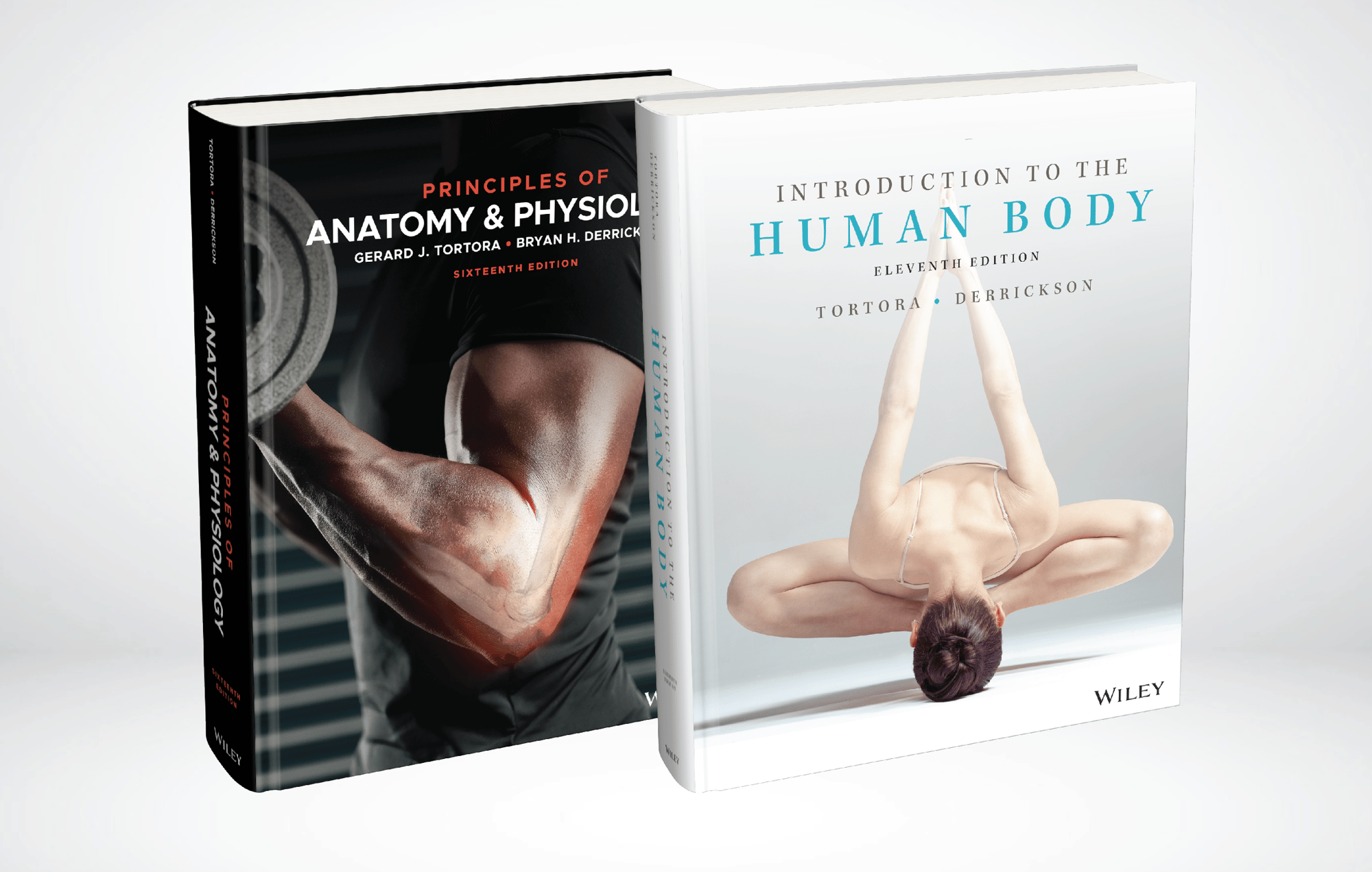 Anatomy & Physiology