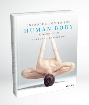 Introduction to the Human Body, 11th edition—Wiley cover