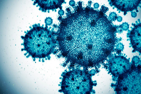 Photo of microscopic life