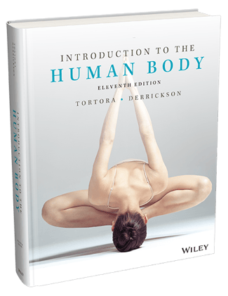 Wiley Introduction to the Human Body cover