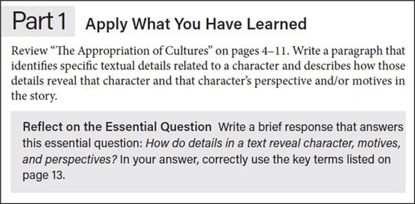 Advanced Placement English Literature Apply What You Have Learned section example