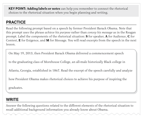 AMSCO Writing for the Advanced Placement Placement Exam Practice sample page