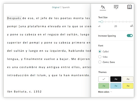 Immersive Reader translation example