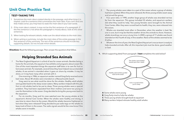 New York English Language Arts Practice Test example