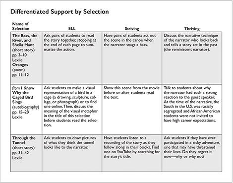 Connections: Literature High School differentiated support image
