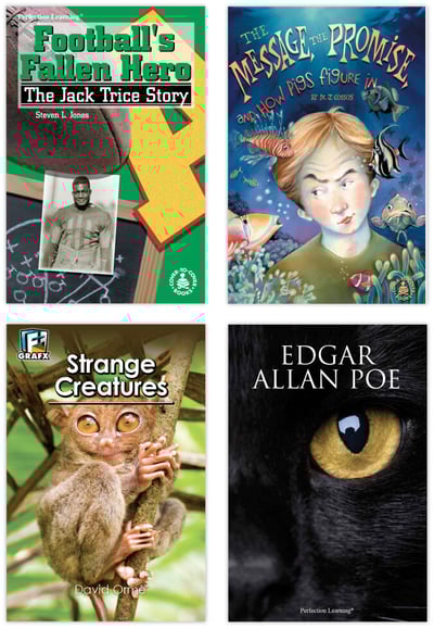 Connections: Reading Digital Student Library image