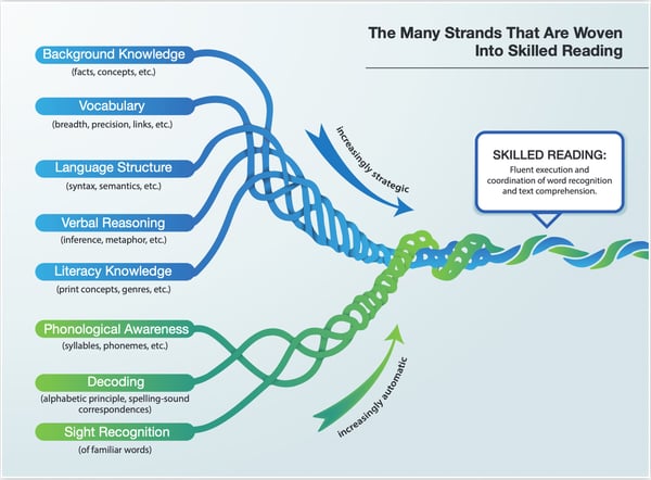 Connections: Reading Reading Rope image