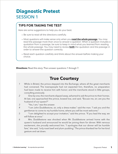 Connections: Literature Middle School Diagnostic Pretest image