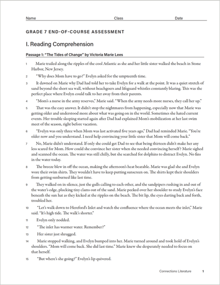 Connections: Literature Middle School End-of-Course Assessment image