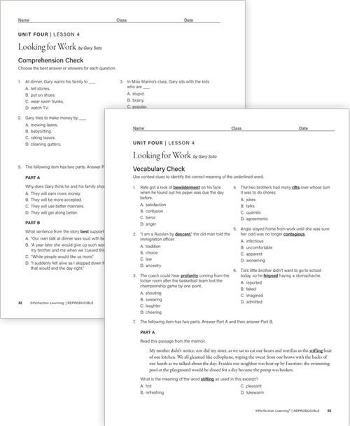 Connections: Literature Middle School Selection Comprehension images