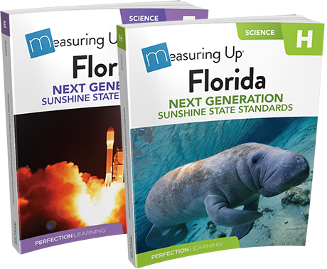 Measuring Up to the Florida Next Generation Sunshine State Standards covers