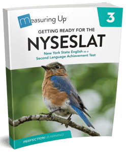 Getting Ready for the NYSESLAT