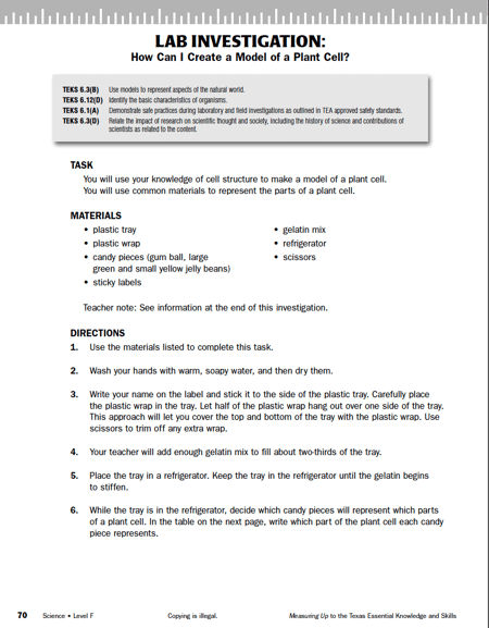 TEKS Science Lab Investigation