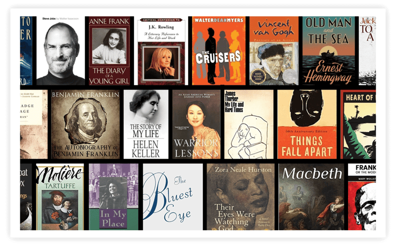 Vocabu-Lit novel and nonfiction covers