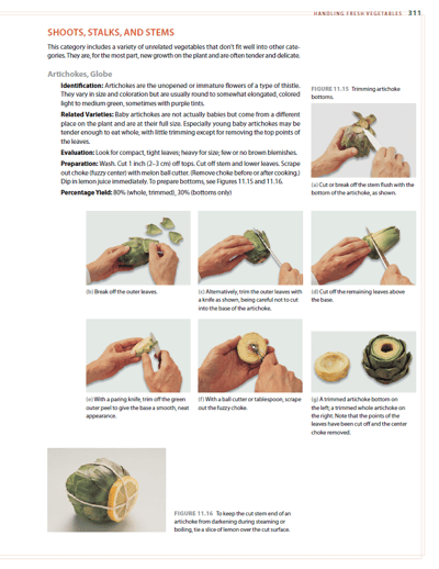 Step By Step graphic from the student edition