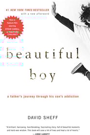 BeautifulBoy