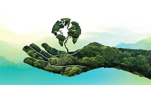 hand holding a tree in the shape of the Earth