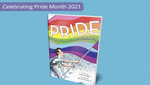 History of the Pride flag book cover