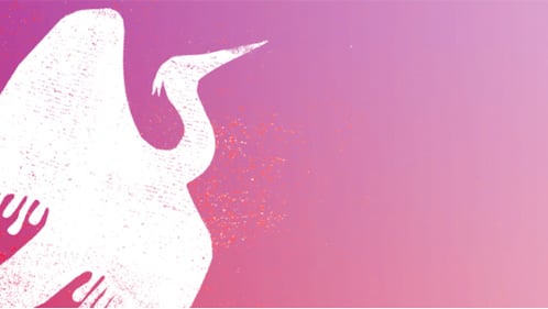 Illustration of a white crane over a pink gradient background from the front cover of the Astonishing Color of After 