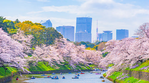 Tokyo in the springtime