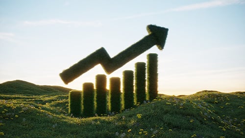 illustration that makes hedge appear to be carved into an economics graph showing an upward trend