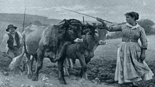 AP® World Lesson Plan: Gender, Women, and the Plow