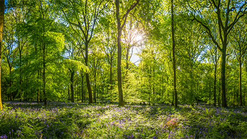Mental Health Awareness: All the Bright Places