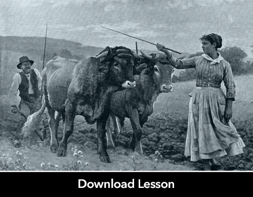 AP® World Lesson Plan: Gender, Women, and the Plow