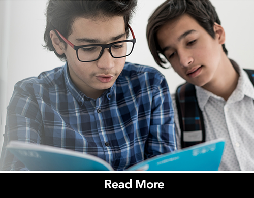 ELA Skills Depend on the Development of Cognitive Processes