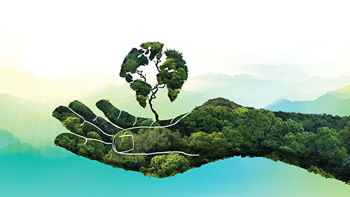 Protecting Our Planet—Celebrating Earth Month 2021