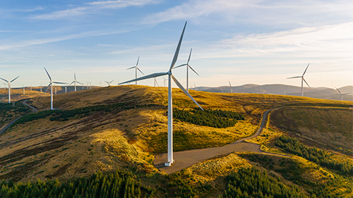 AP® Environmental Science: Strengthening Systems Thinking
