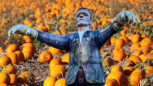 Frankenstein: A Romantic Reaction to the Age of Reason (and Other Perspectives)