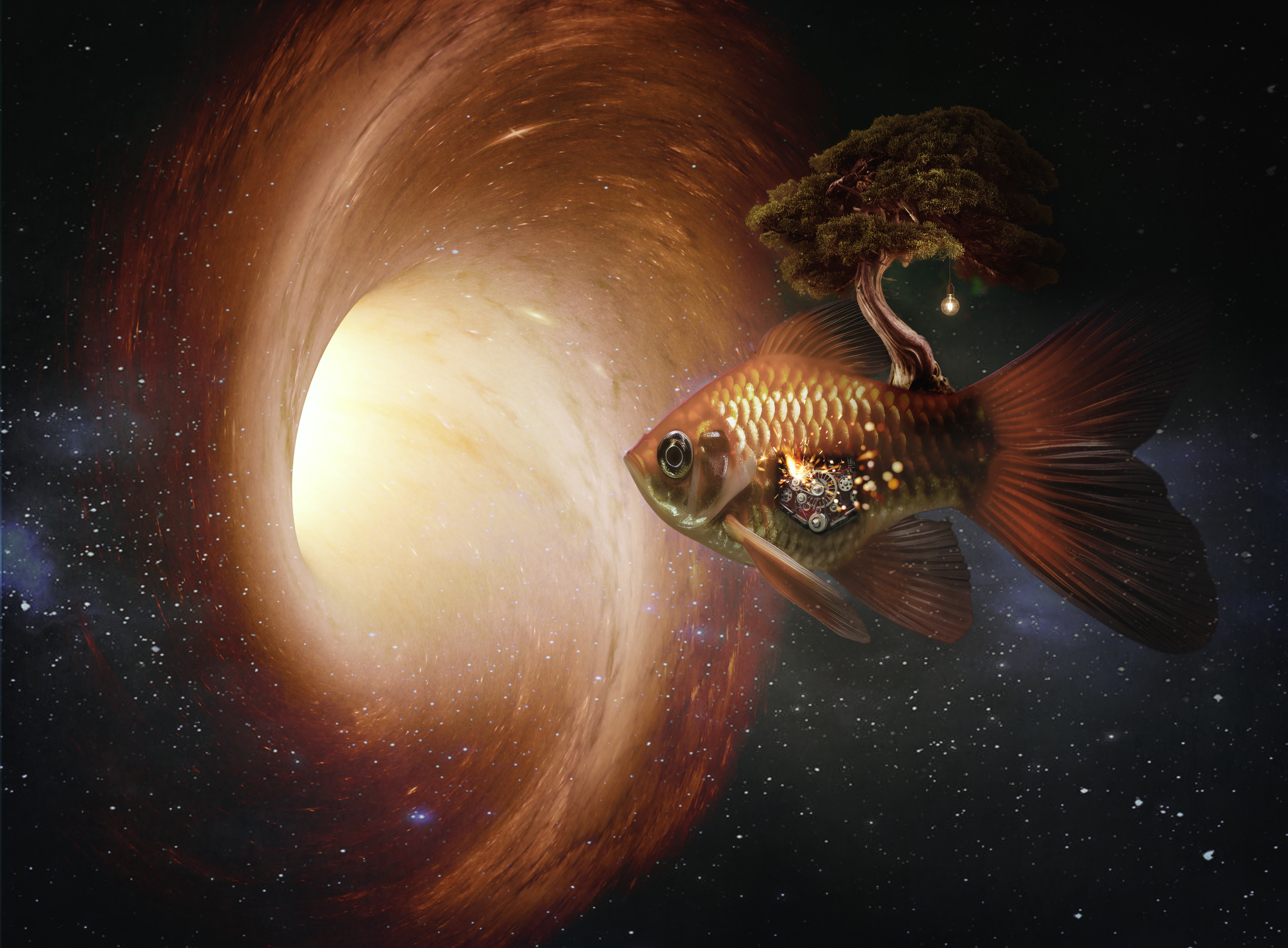 Catfish in Space?