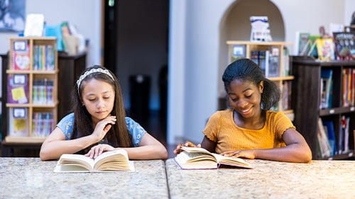 Literature-Driven Test Prep for Multilingual Students