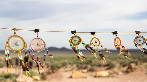 Native American Heritage Month: The Removed