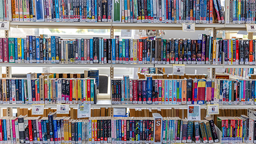 From Passage to Performance: Using Rich Literary Texts in ELA