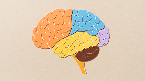 AP Psychology: Using Cognitive Psychology to Study Smarter