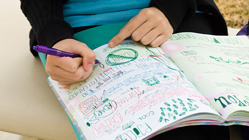 AP Language: Doodle Notes