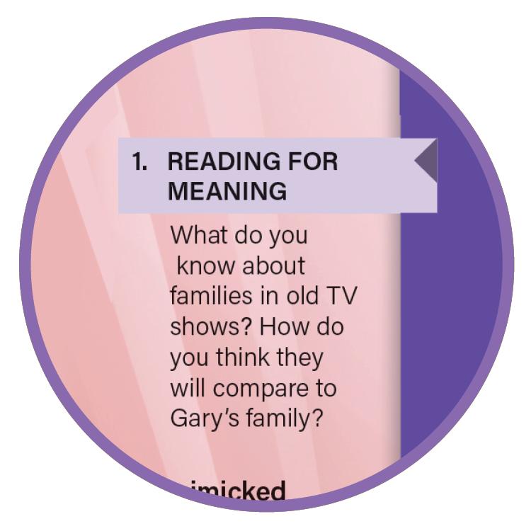 Connections: Literature Middle School Reading for Meaning image